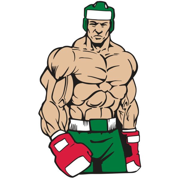 AR BOXING 12 RC Miniaturansicht