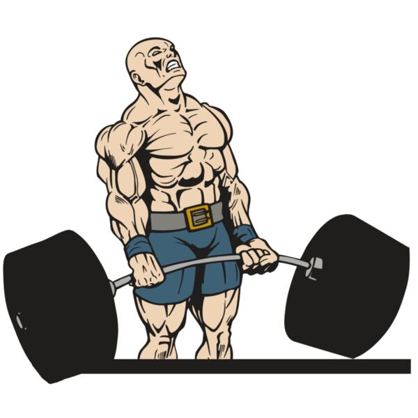 AR WEIGHTS 31 RC Miniaturansicht