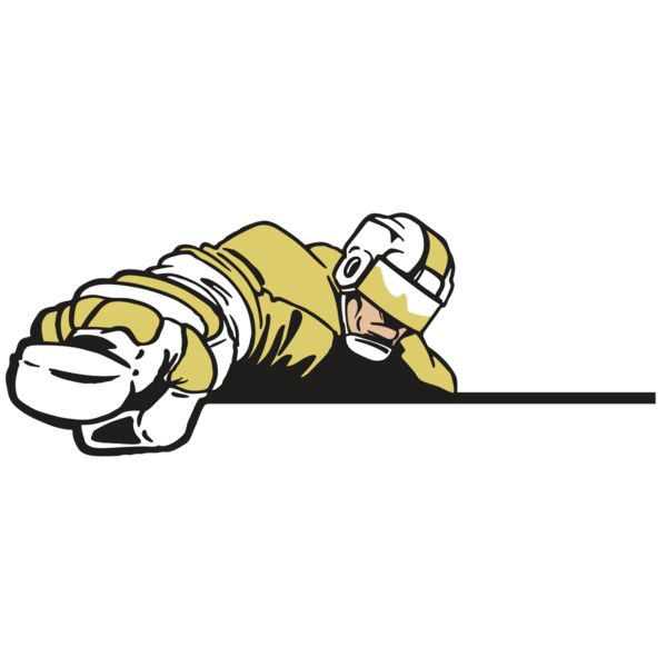 AR3 HOCKEY 19 RQC Miniaturansicht