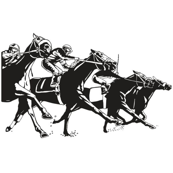 AR EQUEST 13 RC Miniaturansicht