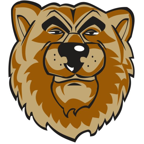 BEAR HD0501 RQC Miniaturansicht