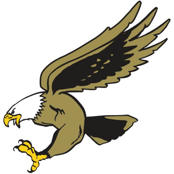 AR EAGLE 23 RC Miniaturansicht