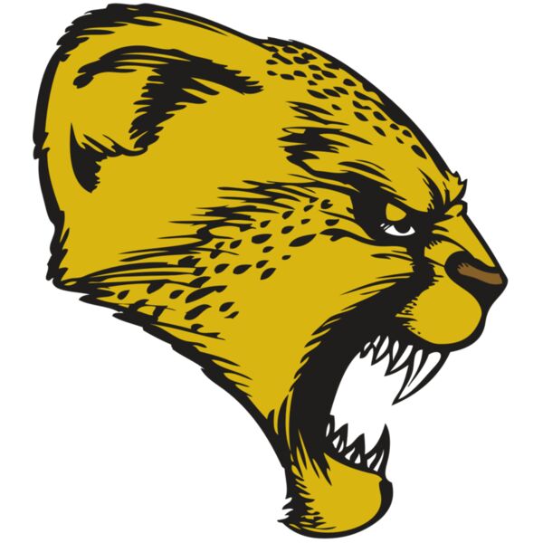 BAW CHEETAH 13 RC Miniaturansicht