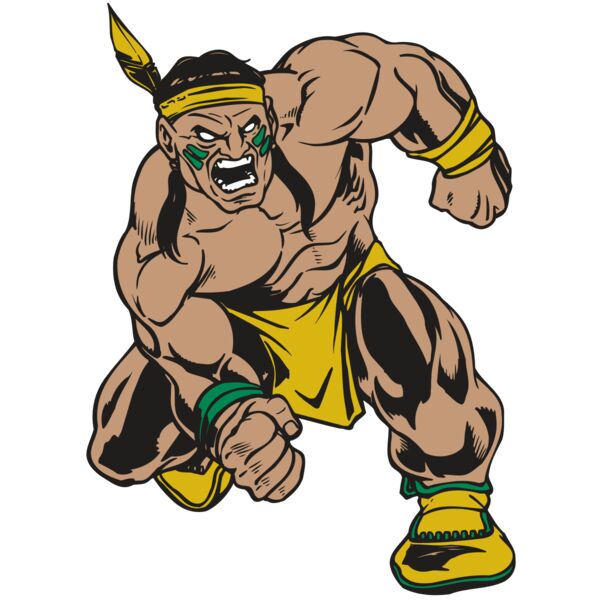 AR BRAVE 50 RC Miniaturansicht