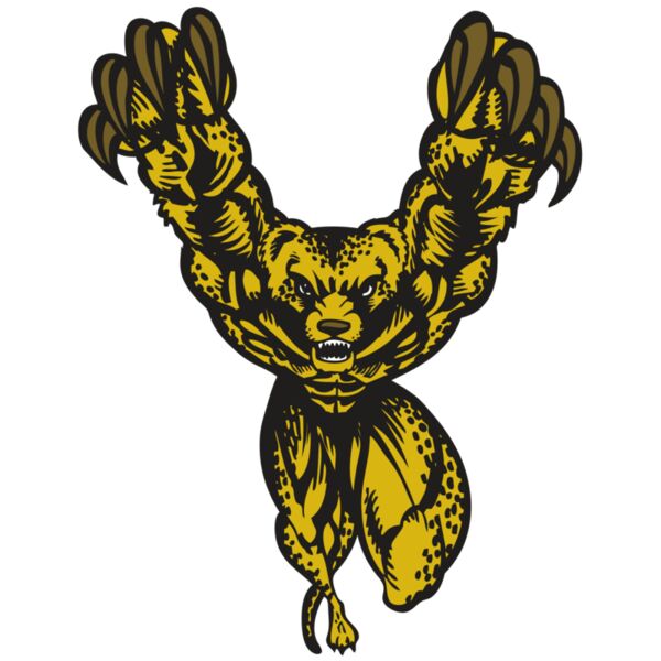 BAW CHEETAH 09 RC Miniaturansicht