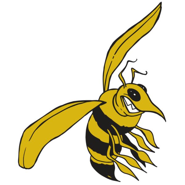 AR5 BEE 13 RQC Miniaturansicht