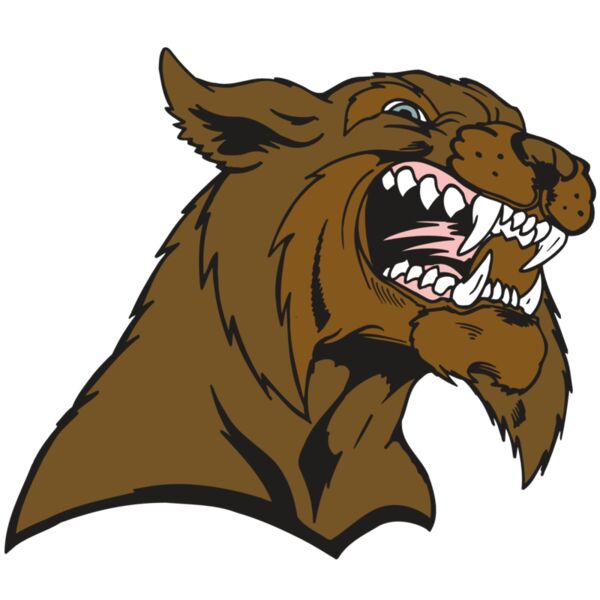 AR5 BOBCAT 21 RQC Miniaturansicht