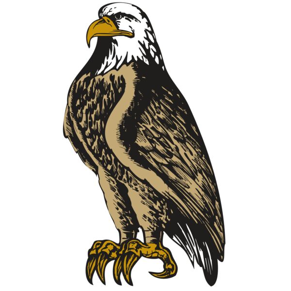 BAW EAG 02 RC Miniaturansicht