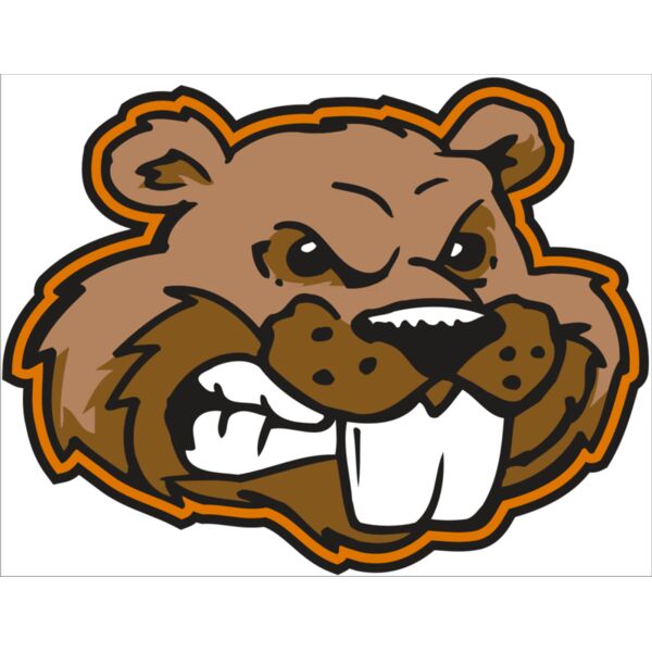 AR BEAVER 11 RC Miniaturansicht