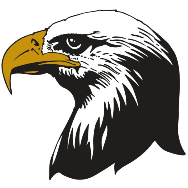 AR EAGLE 87 RC Miniaturansicht