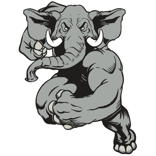 AR ELEPH 18 RC Miniaturansicht