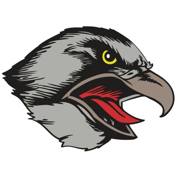 BAW HWK FLCN 13 RC Miniaturansicht