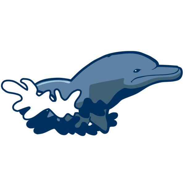 AR DOLPIN 10 RC Miniaturansicht