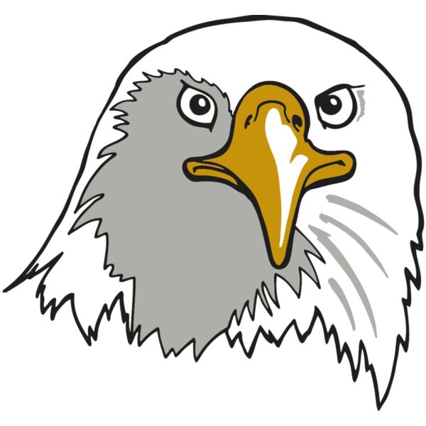 AR EAGLE 39 RC Miniaturansicht