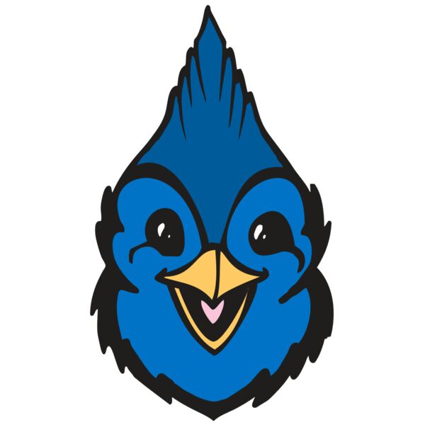 BAW BLUEJAY 19 RC Miniaturansicht