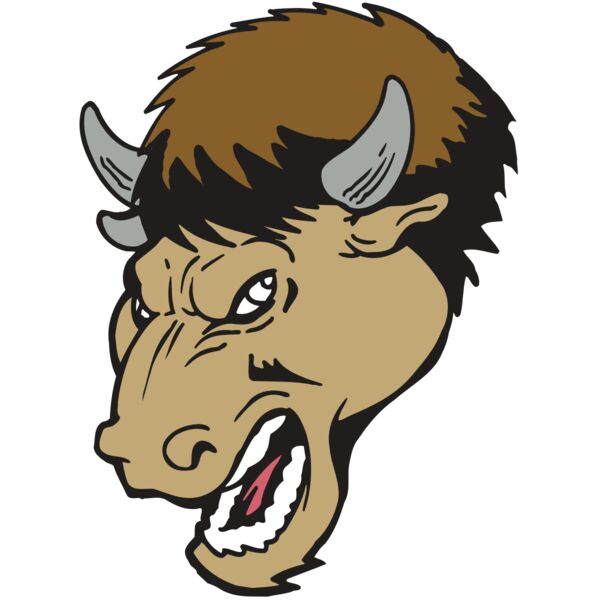 AR5 BUFFALO 14 RQC Miniaturansicht