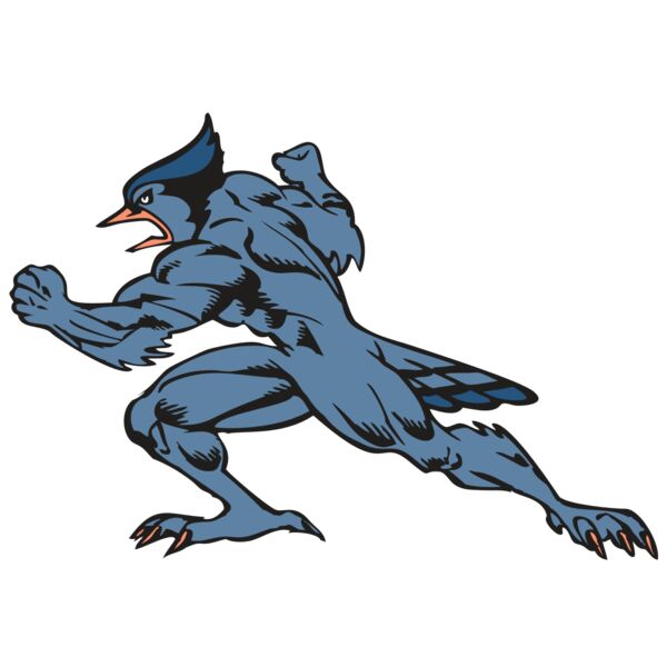 BAW BLUEJAY 15 RC Miniaturansicht