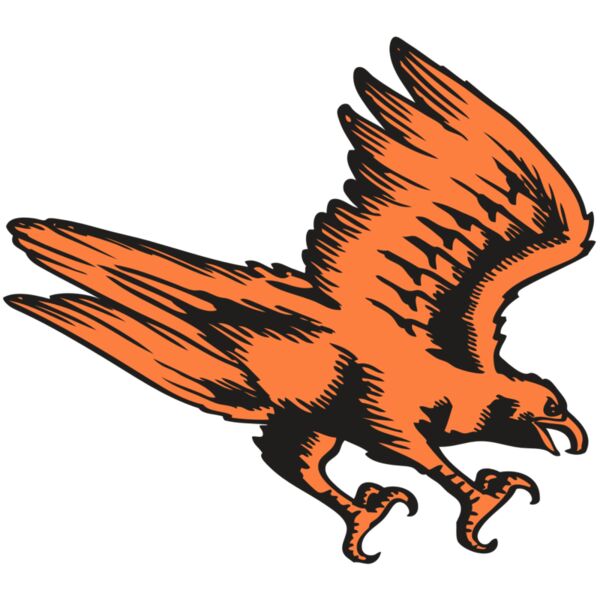 BAW HWK FLCN 04 RC Miniaturansicht