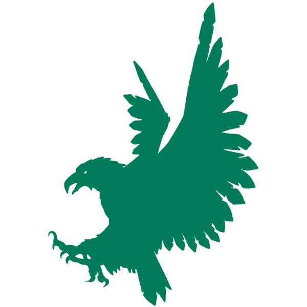 AR EAGLE 88 RC Miniaturansicht