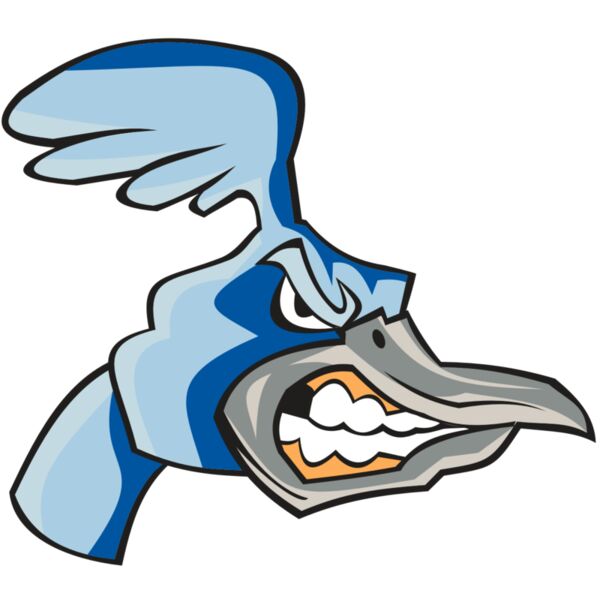 ROADRUNNER HD0503 RQC Miniaturansicht