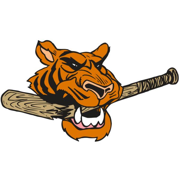 AR5 Tiger 11 RQC Miniaturansicht