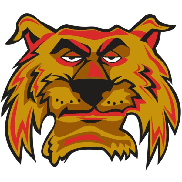 WILDCAT HD0503 RQC Miniaturansicht