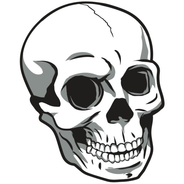 AR24 SKULL 14 RQC Miniaturansicht