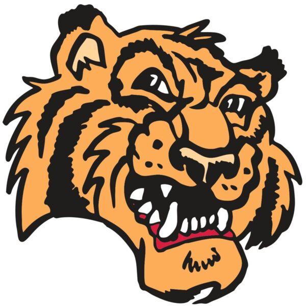 AR2 TIGER 02 RQC Miniaturansicht