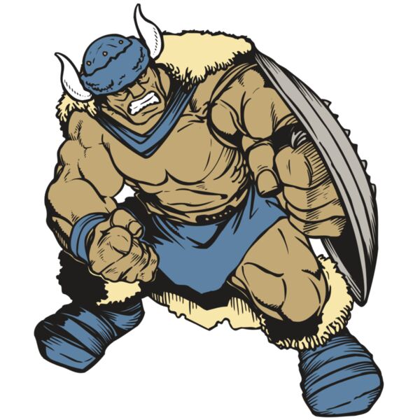 AR VIKING 36 RC Miniaturansicht