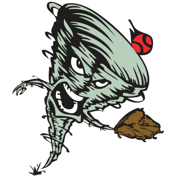 BAW STORM 09 RC Miniaturansicht