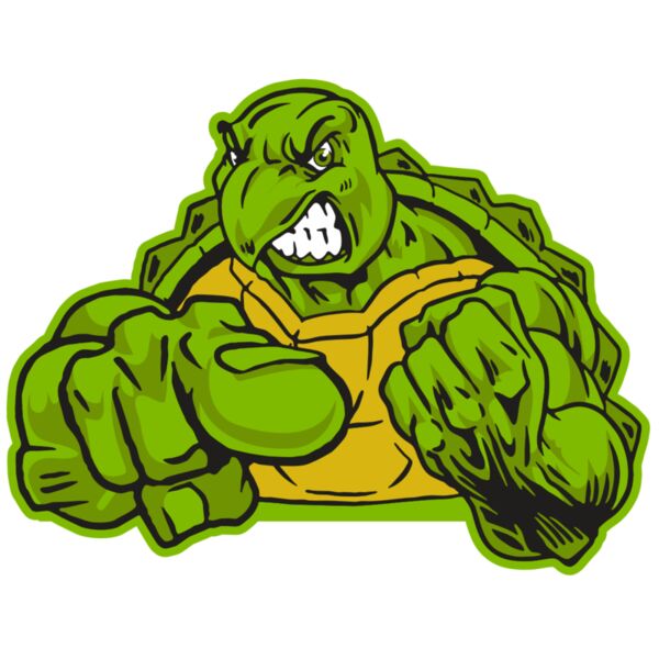 AR31 TURTLE 02 RQC Miniaturansicht