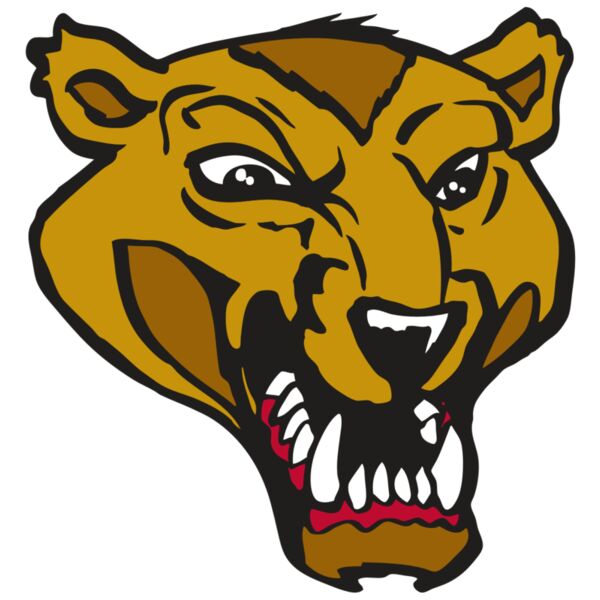 AR2 WOLVERINE 01 RQC Miniaturansicht