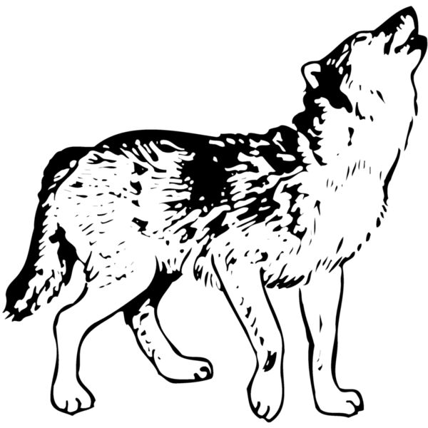 DC0023 Miniaturansicht