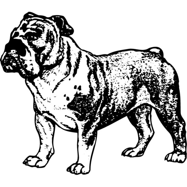 DC0041 Miniaturansicht