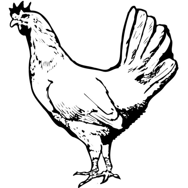 CHICK012 Miniaturansicht