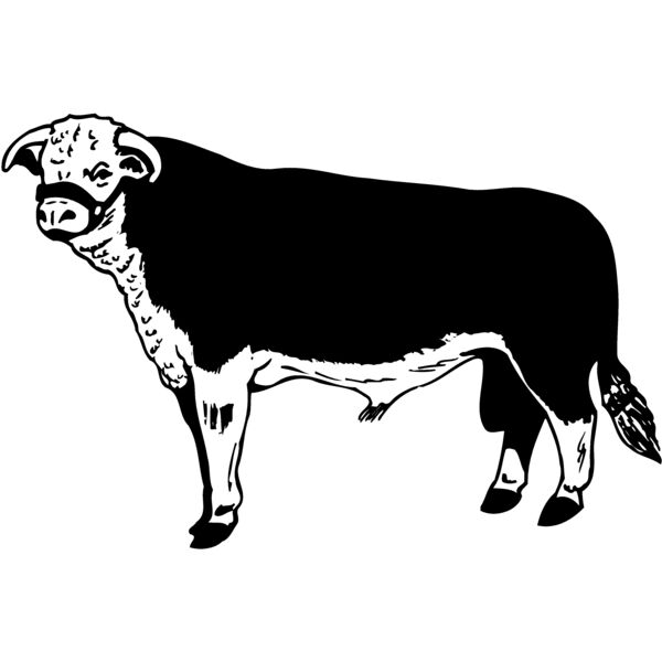 COW012 Miniaturansicht