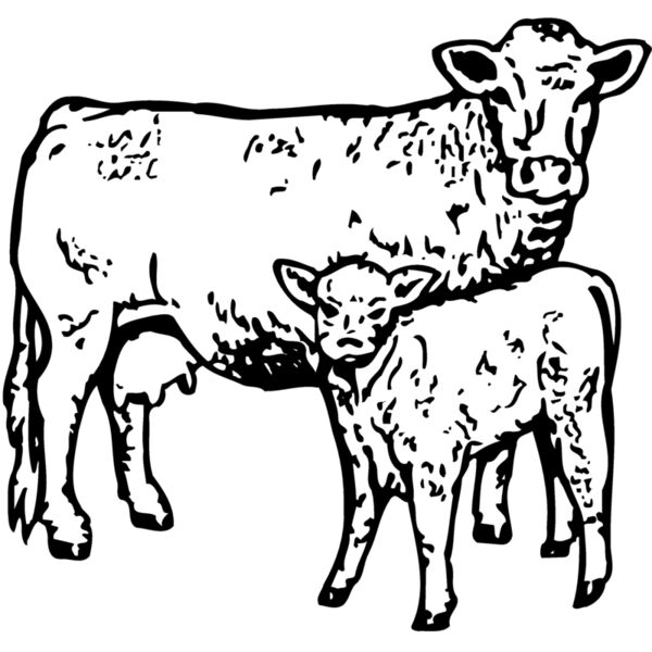 COW030 Miniaturansicht