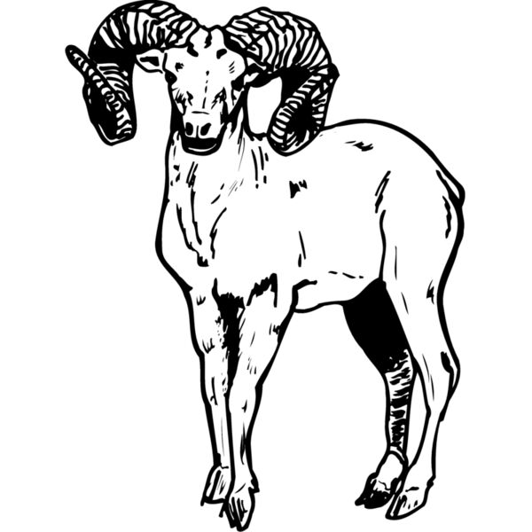 RAM006 Miniaturansicht