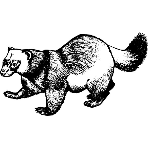 BADGER02 Miniaturansicht