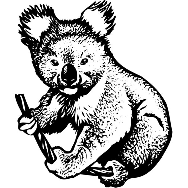 BEAR007 Miniaturansicht