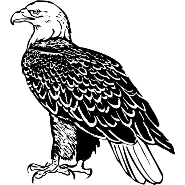 EAGLE017 Miniaturansicht