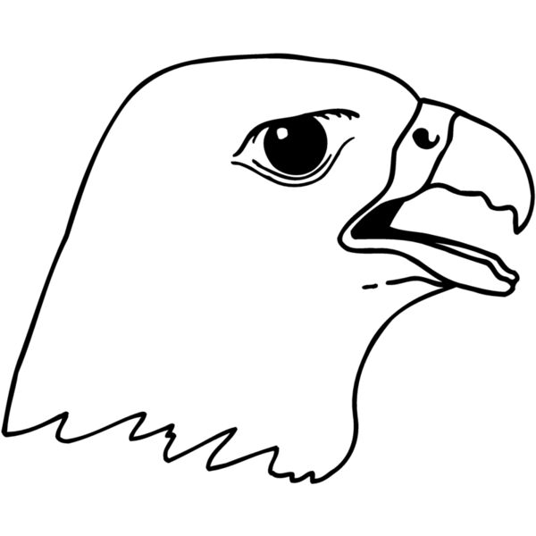 EAGLE45 Miniaturansicht