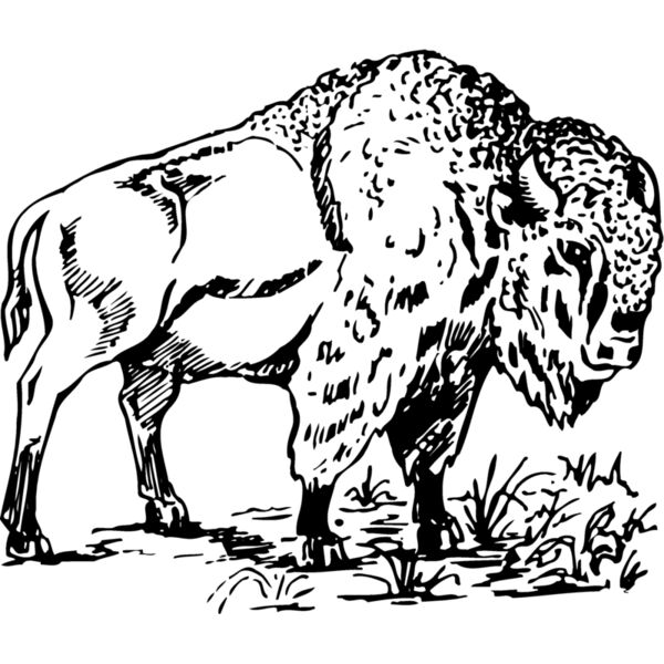 BUFF004 Miniaturansicht