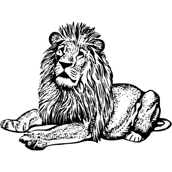 LION004 Miniaturansicht