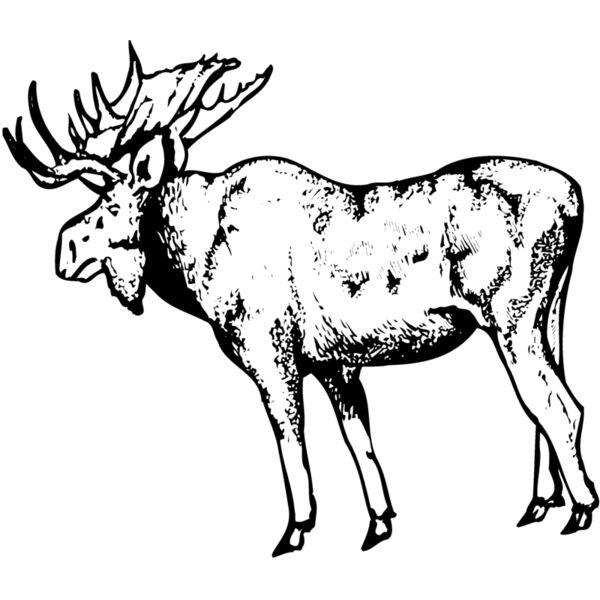 MOOSE002 Miniaturansicht