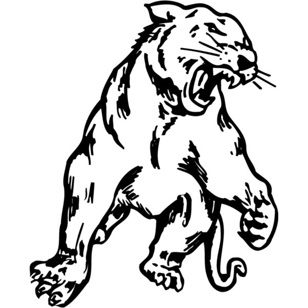 PANTHER1 Miniaturansicht