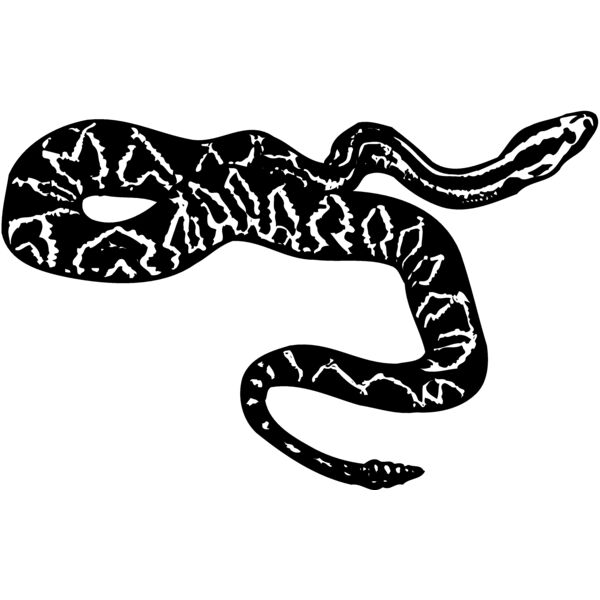 SNAKE007 Miniaturansicht