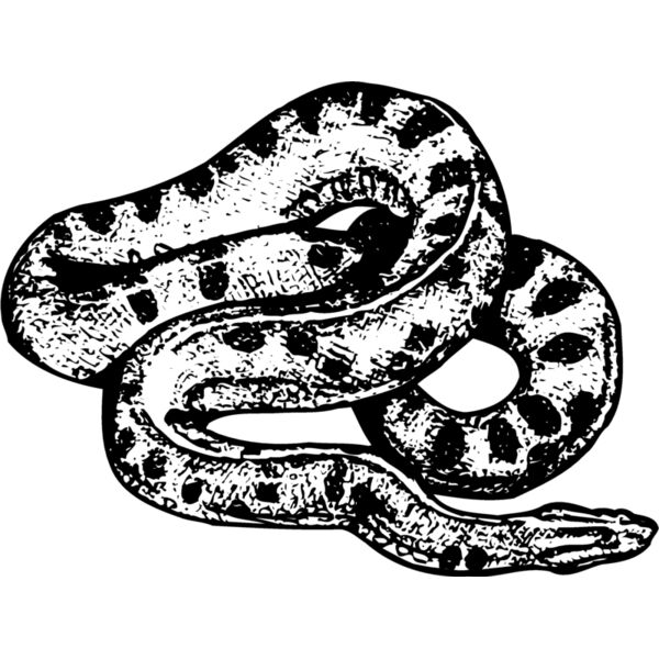 SNAKE010 Miniaturansicht