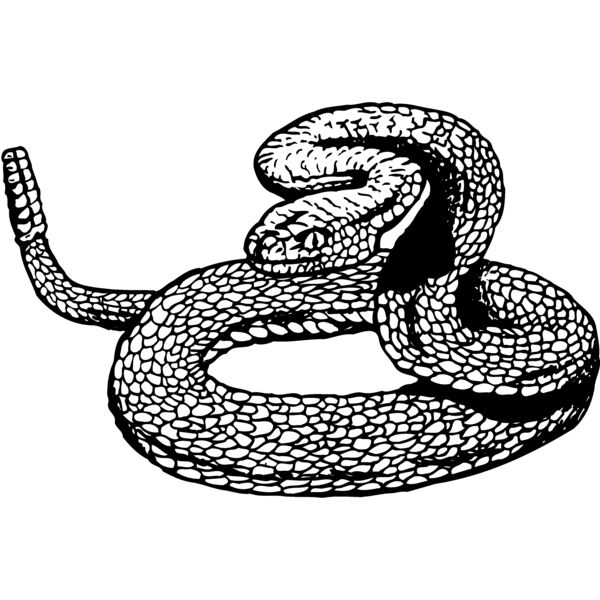 SNAKE012 Miniaturansicht