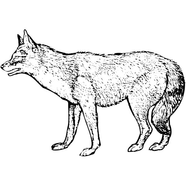 F_W006 Miniaturansicht